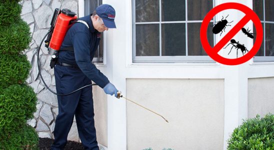 Daday Hamam Böceği İlaçlama böcek ilaçlama ve haşere kontrolü — ilaclama-tr.com